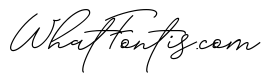 Absolute Beauty Script Bold