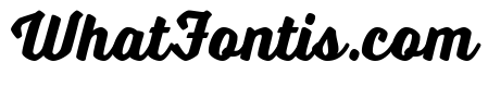 Voltage Bold
