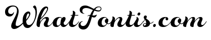 Rosarian Bold