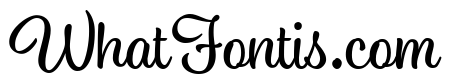 Ed's Market Script Upright