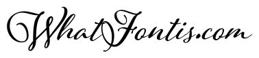 Adorn Pomander Bold