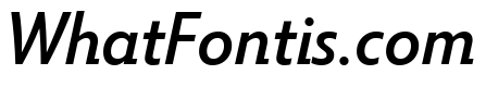 Tempo Medium Italic