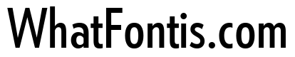 Tempo Extra Condensed Medium