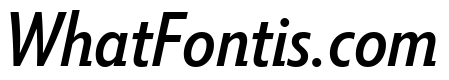 Tempo Condensed Medium Italic