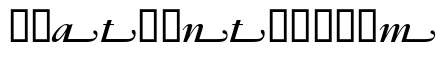 Garamond Bold Italic Swashes