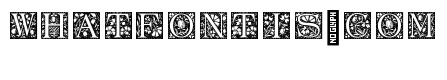 Ornamental Initials