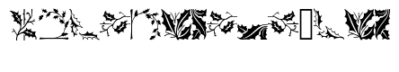 Holly Leaves B