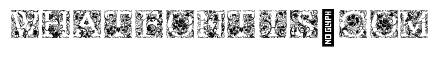 Goudy Initials Flora