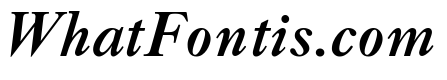 Caslon Bold Italic