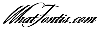 Savanna Script Bold