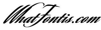 Savanna Script Black