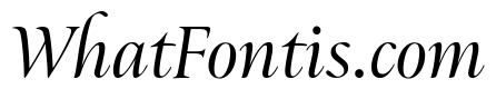 Ellery Medium Italic