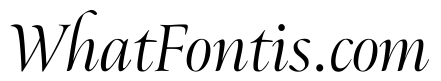 Ellery Italic