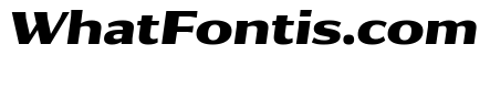 Collier Sans Extra Extended Extra Bold Italic