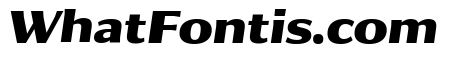 Collier Sans Extra Bold Italic