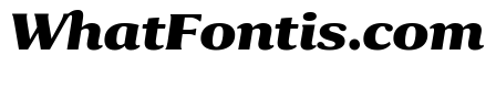 Collier Extra Bold Italic