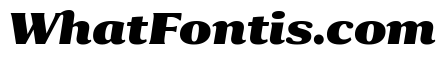 Collier Condensed Black Italic