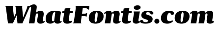 Collier Compressed Black Italic