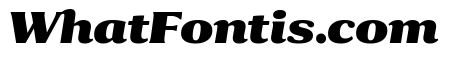 Collier Black Italic