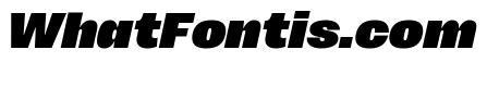 Sundry Super Black Italic