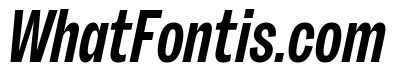 Sundry Narrow Bold Italic