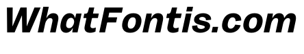 Sundry Italic