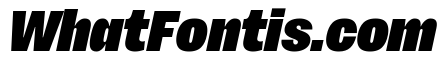 Sundry Condensed Super Black Italic