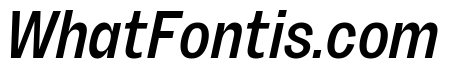 Sundry Condensed Medium Italic