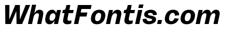 Sundry Bold Italic