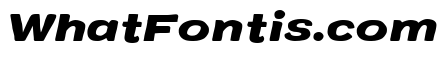 Colby Wide Black Italic