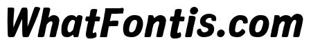 Colby Narrow Black Italic