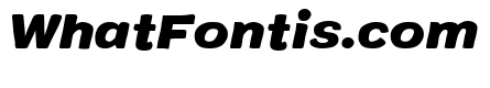 Colby Extended Black Italic