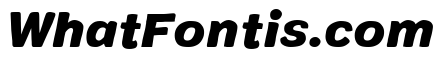 Colby Black Italic