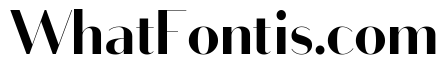 Bodoni Sans Display Bold