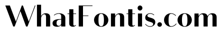 Bodoni Sans Bold