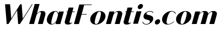 Bodoni Sans Black Italic