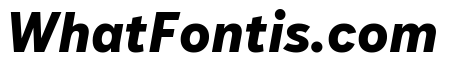 IvyStyle Sans Bold Italic