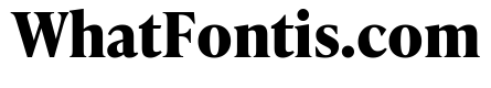 IvyPresto Text Bold