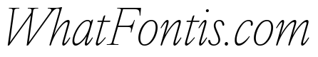 IvyOra Text Thin Italic