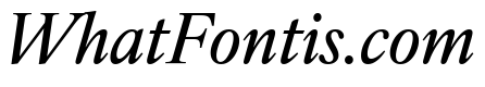 IvyOra Text Medium Italic