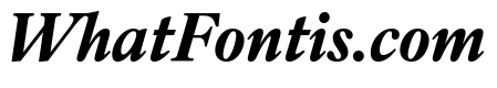 IvyOra Text Bold Italic