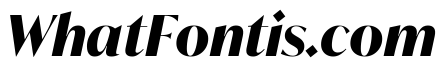 IvyMode Bold Italic