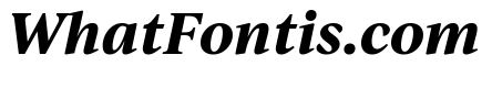 IvyJournal Bold Italic