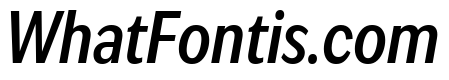 IvyEpic Condensed Medium Italic