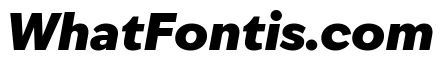 IvyEpic Black Italic