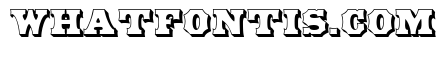 American Outline