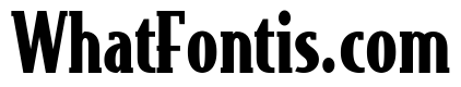 Bodega Serif Black