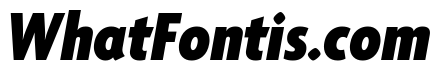 Agenda One Condensed Black Italic