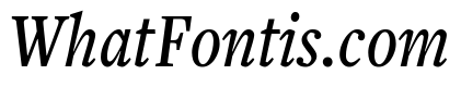 Freight Text Compressed Medium Italic
