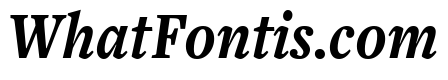 Freight Text Compressed Bold Italic